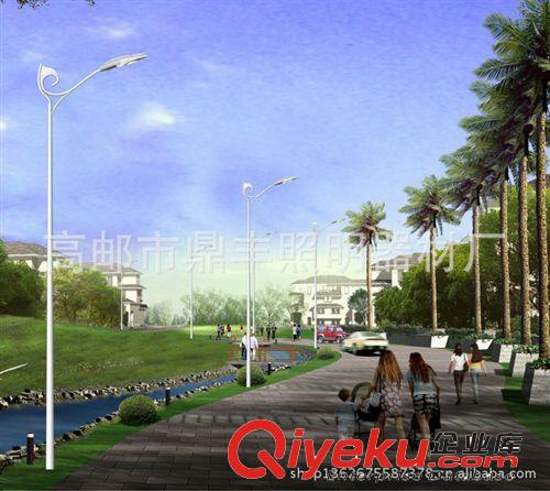 專業(yè)批發(fā) 戶外照明路燈桿 LED路燈燈桿 不銹鋼燈桿加工