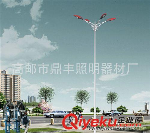 廠家供應(yīng) 道路照明燈燈桿 自彎臂路燈桿 路燈監(jiān)控桿原始圖片2