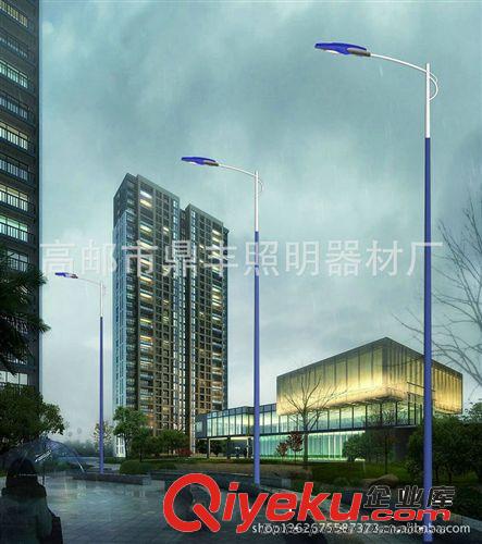 專業(yè)批發(fā) 戶外照明路燈桿 LED路燈燈桿 不銹鋼燈桿加工