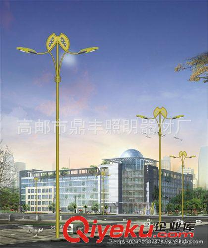 專業(yè)批發(fā) 戶外照明路燈桿 LED路燈燈桿 不銹鋼燈桿加工原始圖片3