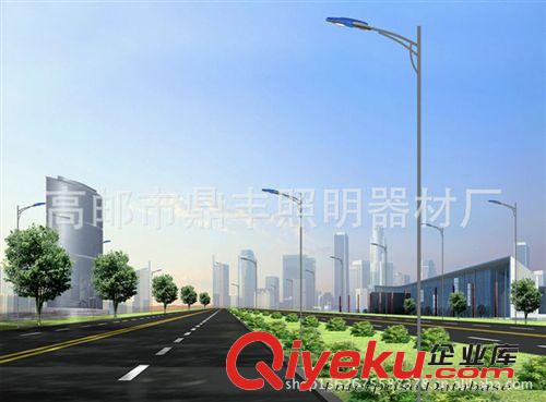 專業(yè)批發(fā) 戶外照明路燈桿 LED路燈燈桿 不銹鋼燈桿加工