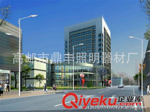 生產(chǎn)供應(yīng) 大功率LED路燈 精品LED路燈 單臂路燈原始圖片3