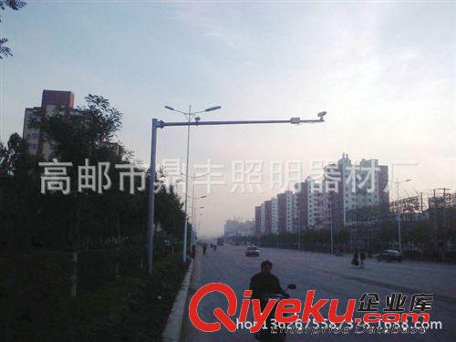大量銷售 道路安防立桿 高速公路監(jiān)控桿 指示監(jiān)控桿原始圖片3