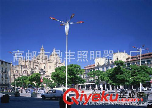 508廠價直銷 祥云 高xjb 雙臂高桿路燈
