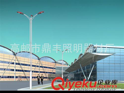 508廠價直銷 祥云 高xjb 雙臂高桿路燈