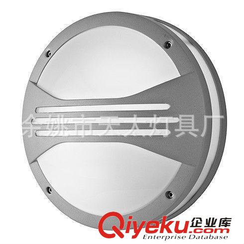 現(xiàn)代簡約吸頂燈 戶外壁燈 家裝燈飾 節(jié)能燈原始圖片2