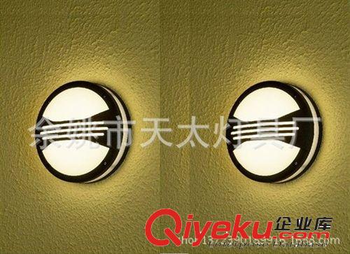 現(xiàn)代簡約吸頂燈 戶外壁燈 家裝燈飾 節(jié)能燈原始圖片3
