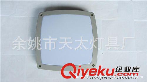 方形300鋁壓鑄吸頂燈 戶外壁燈原始圖片2