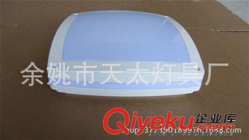 方形300鋁壓鑄吸頂燈 戶外壁燈原始圖片3