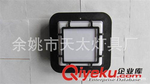 中式現(xiàn)代吸頂燈 陽臺燈 戶外景觀照明燈具