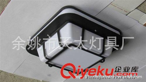中國風古典庭院燈 家裝吸頂燈 庭院景觀燈原始圖片3