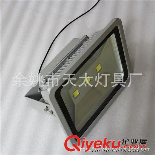 LED120W150W投光燈 公園亮化照明 LED射樹燈 LED聚光燈原始圖片2