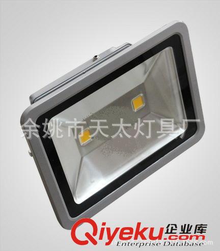 LED100W投光燈 公園亮化照明 LED射樹燈 LED聚光燈