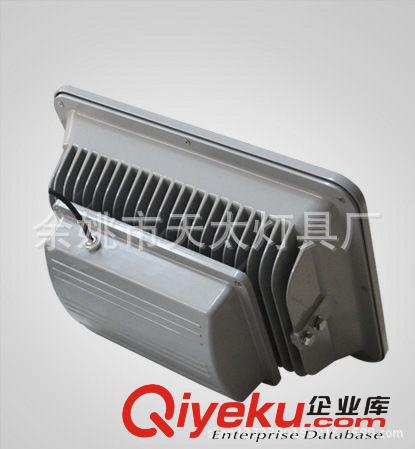 LED100W投光燈 公園亮化照明 LED射樹燈 LED聚光燈