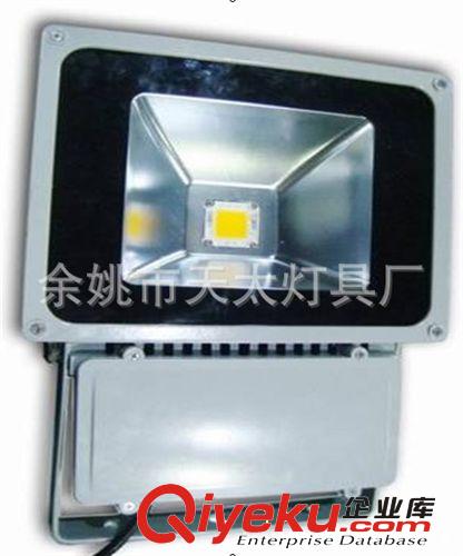 LED100W投光燈 公園亮化照明 LED射樹燈 LED聚光燈