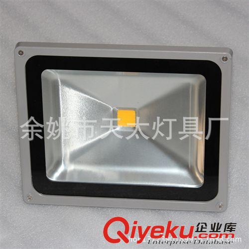 LED70W80W投光燈 公園亮化照明 LED射樹燈 LED聚光燈