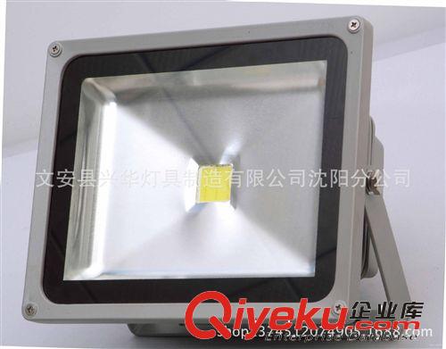 廠家供應 防水led投光燈 led集成投光燈 led高亮投光燈原始圖片3