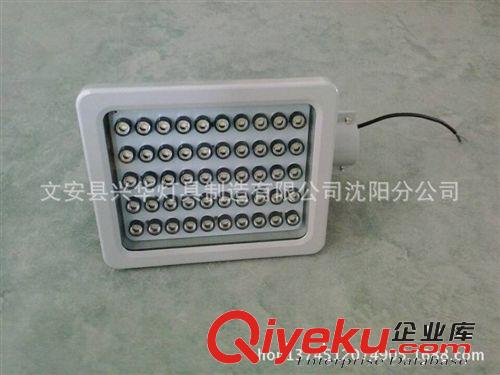 熱銷供應 船用led防爆燈40w  節能防水led防爆燈
