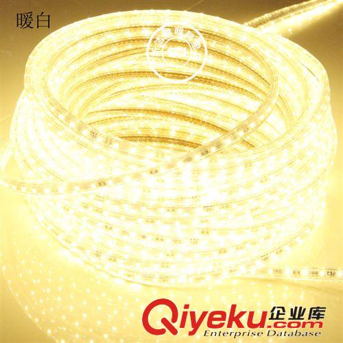 廠家低價(jià)批發(fā)LED軟燈條、LED燈帶，5050LED軟燈條，220VLED燈帶