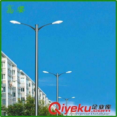 生產(chǎn)供應(yīng) 歐式白色公園道路燈 高亮{gx}道路燈 量多優(yōu)惠