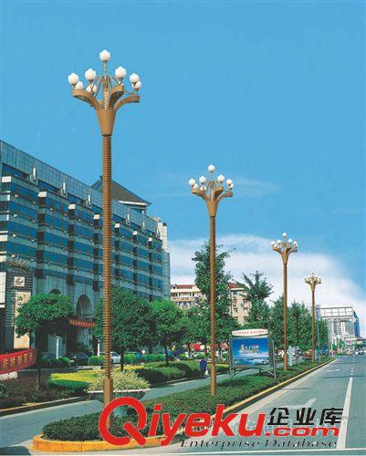 廠家批發(fā) 歐式led道路燈 節(jié)能環(huán)保照明道路燈 品質(zhì)保障原始圖片2