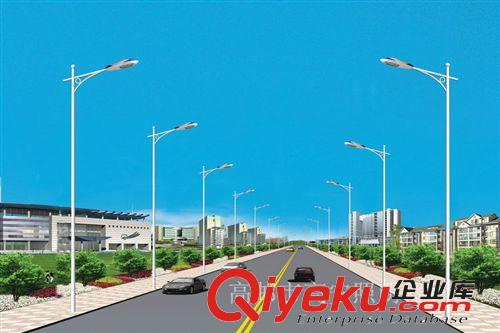 生產銷售 白色高桿節能單臂路燈 戶外大功率單臂路燈 價格便宜原始圖片2
