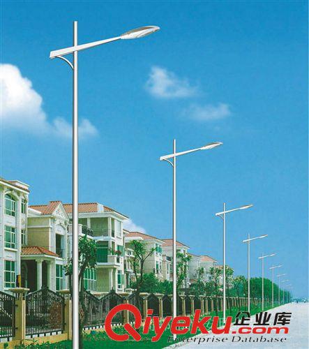 長期供應 單臂異形高桿道路燈 節能{gx}單臂路燈 支持混批