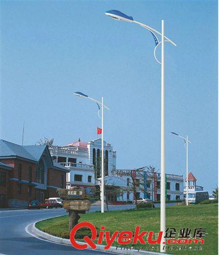 長期供應 單臂異形高桿道路燈 節能{gx}單臂路燈 支持混批