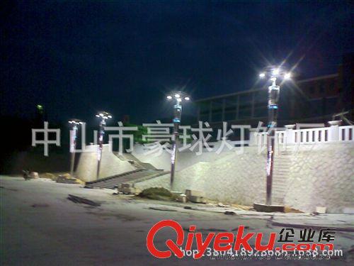 戶外景觀路燈 工程高桿庭院燈 立桿景觀路燈 別墅公園戶外燈具原始圖片3