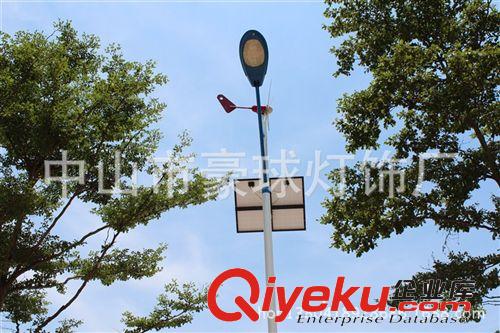 專業(yè)生產(chǎn)批發(fā)各類大功率LED太陽能路燈新農(nóng)村建設(shè)道路太陽能路燈原始圖片3