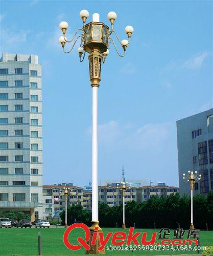 高光效照明LED中華路燈 神能光源中華燈