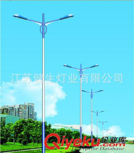 生產銷售 新款雙臂路燈桿 高品質路燈照明燈 優質從優原始圖片3