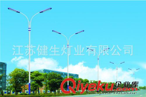 揚州led路燈廠家供應(yīng) 大功率雙頭led路燈 量大價優(yōu)原始圖片2