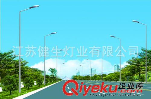 高低臂路燈廠家供應(yīng) 新型照明路燈 歡迎購買原始圖片2