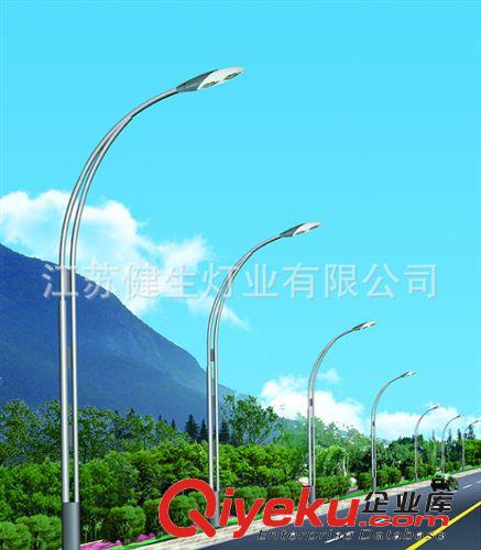 高低臂路燈廠家供應(yīng) 新型照明路燈 歡迎購買原始圖片3