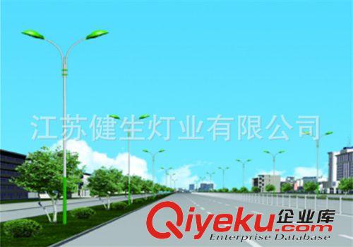 路燈燈桿廠家批發(fā) 道路照明路燈燈桿 歡迎購買原始圖片2