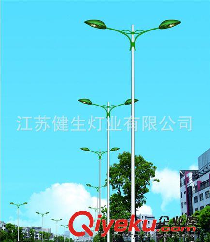 路燈燈桿廠家批發(fā) 道路照明路燈燈桿 歡迎購買原始圖片3