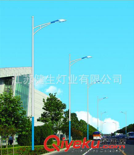 廠家供應(yīng) 新款戶外路燈桿 LED節(jié)能路燈 貨源充足原始圖片2
