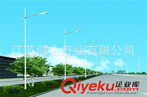 廠家供應(yīng) 新款戶外路燈桿 LED節(jié)能路燈 貨源充足原始圖片3