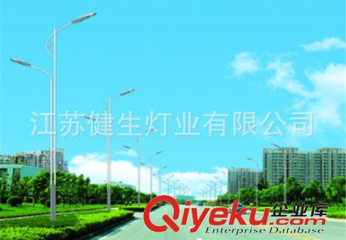 生產銷售 新款雙臂路燈桿 高品質路燈照明燈 優質從優原始圖片2