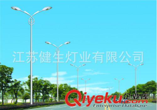 廠家供應 固定式高桿道路燈 高速路口led路燈 貨源充足原始圖片3