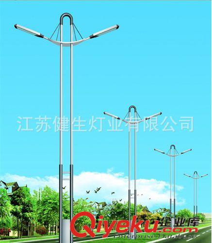 揚州led路燈廠家供應 大功率雙頭led路燈 量大價優原始圖片3
