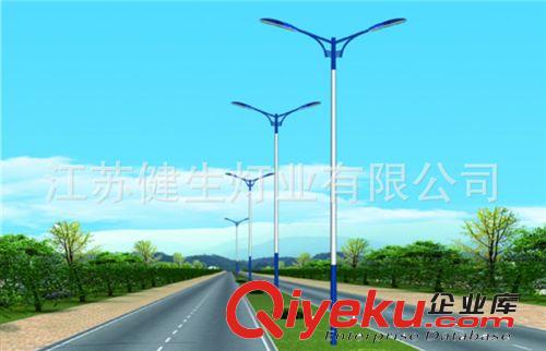 廠家批發 11米小區led路燈 新款集成led路燈 價錢實惠原始圖片2
