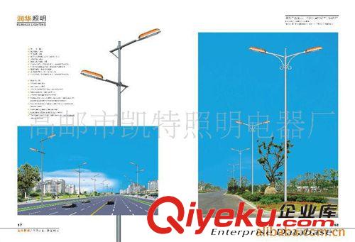 專業設計  8米單火路燈 道路高桿燈 美觀大方