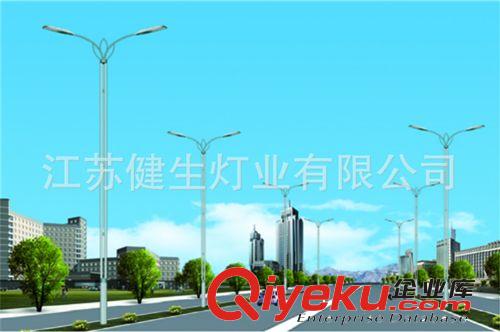 長期供應 單臂雙頭led路燈 新款40wled路燈 質量可靠原始圖片2