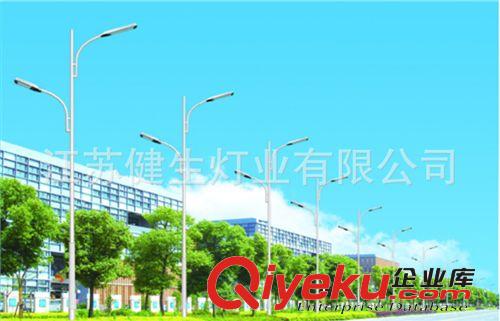 長期供應 單臂雙頭led路燈 新款40wled路燈 質量可靠原始圖片3