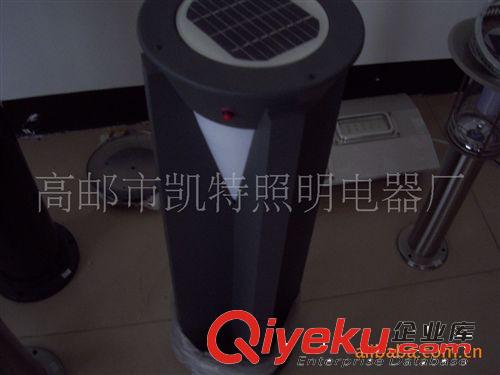 大量供應(yīng) 太陽能感應(yīng)LED草坪燈 草坪燈款式原始圖片3