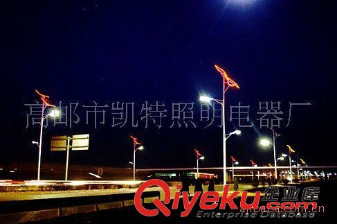 專業(yè)制作 太陽(yáng)能垂直軸路燈 太陽(yáng)能路燈20w 太陽(yáng)能路燈原始圖片3