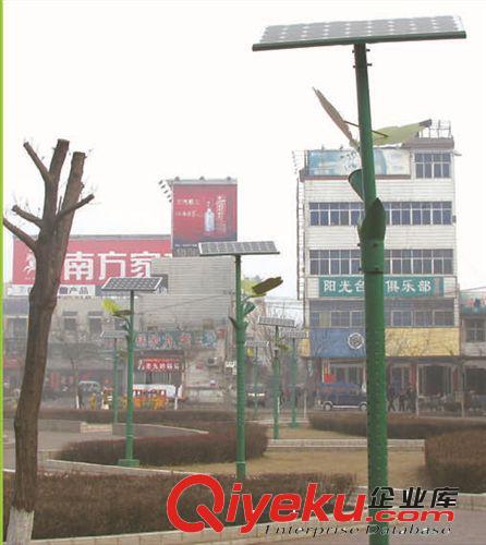 太陽能道路燈 金鹵燈  無極燈 太陽能燈 路燈原始圖片2