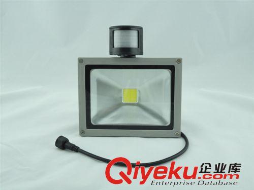 泛光燈 大功率泛光燈 10W太陽能人體感應LED泛光燈原始圖片3